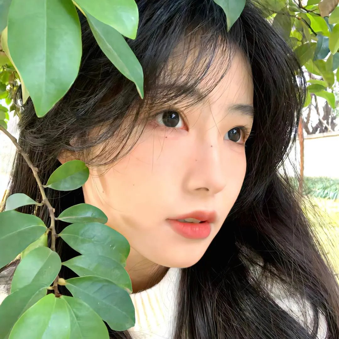 香车绮梦